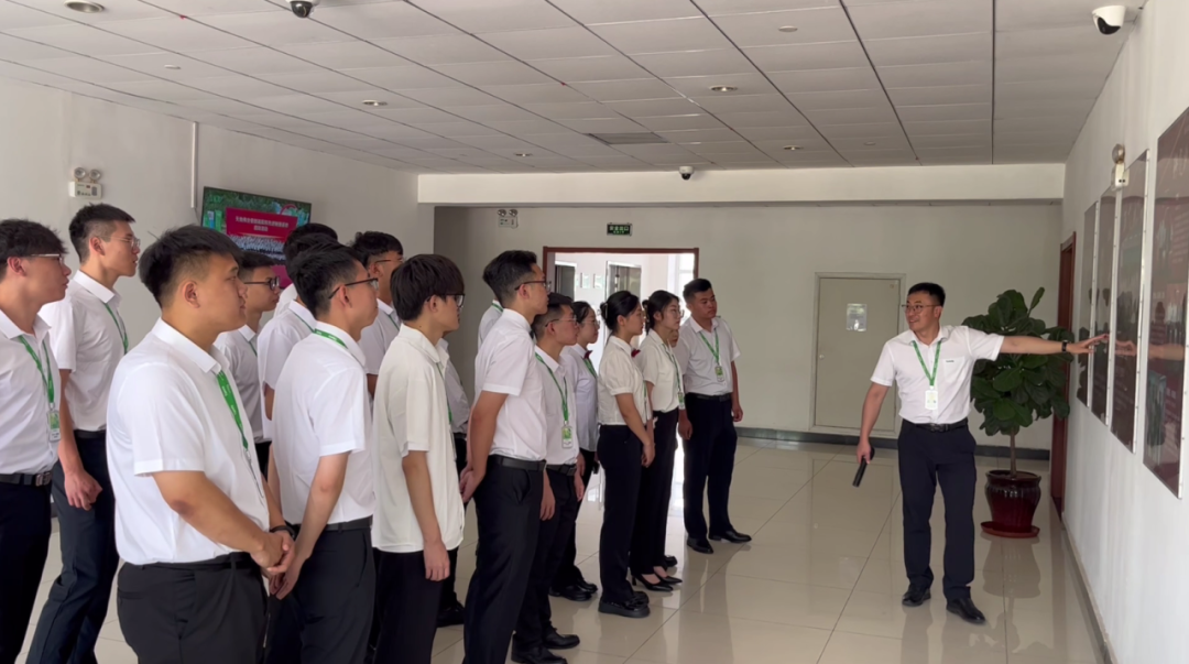 GA黄金甲·(中国区)官方网站