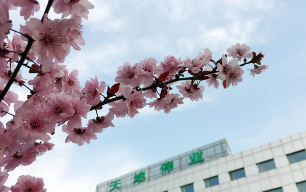 GA黄金甲·(中国区)官方网站