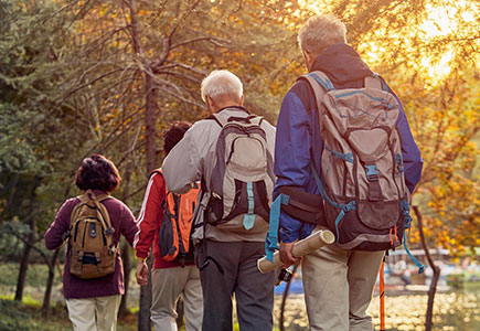 GA黄金甲·(中国区)官方网站