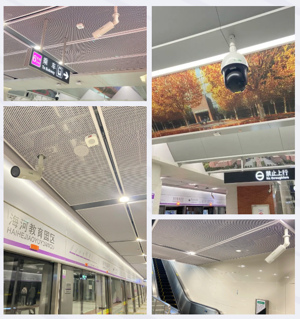 GA黄金甲·(中国区)官方网站