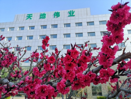 GA黄金甲·(中国区)官方网站