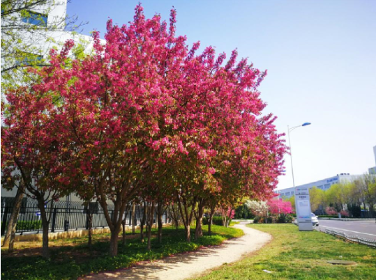GA黄金甲·(中国区)官方网站