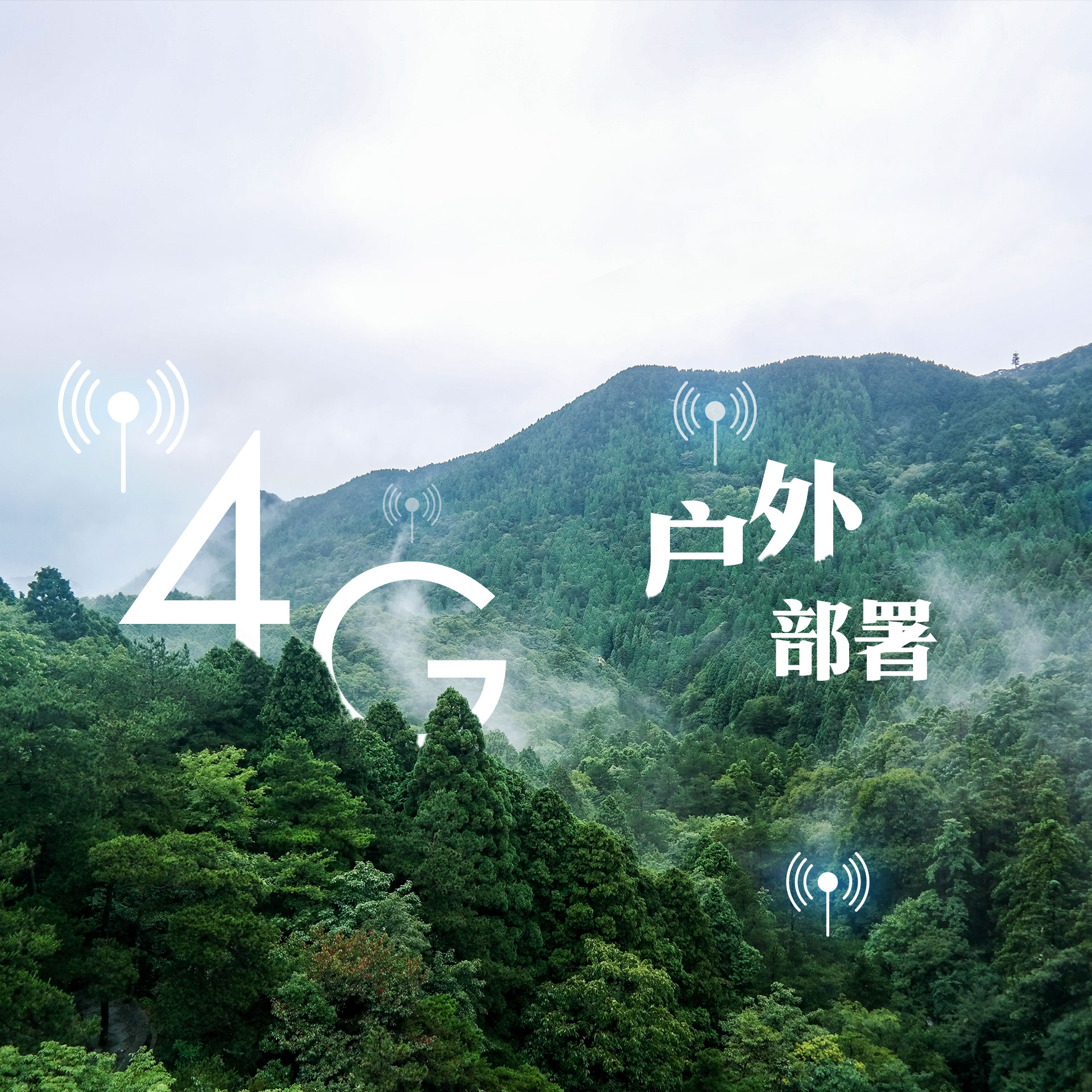 GA黄金甲·(中国区)官方网站